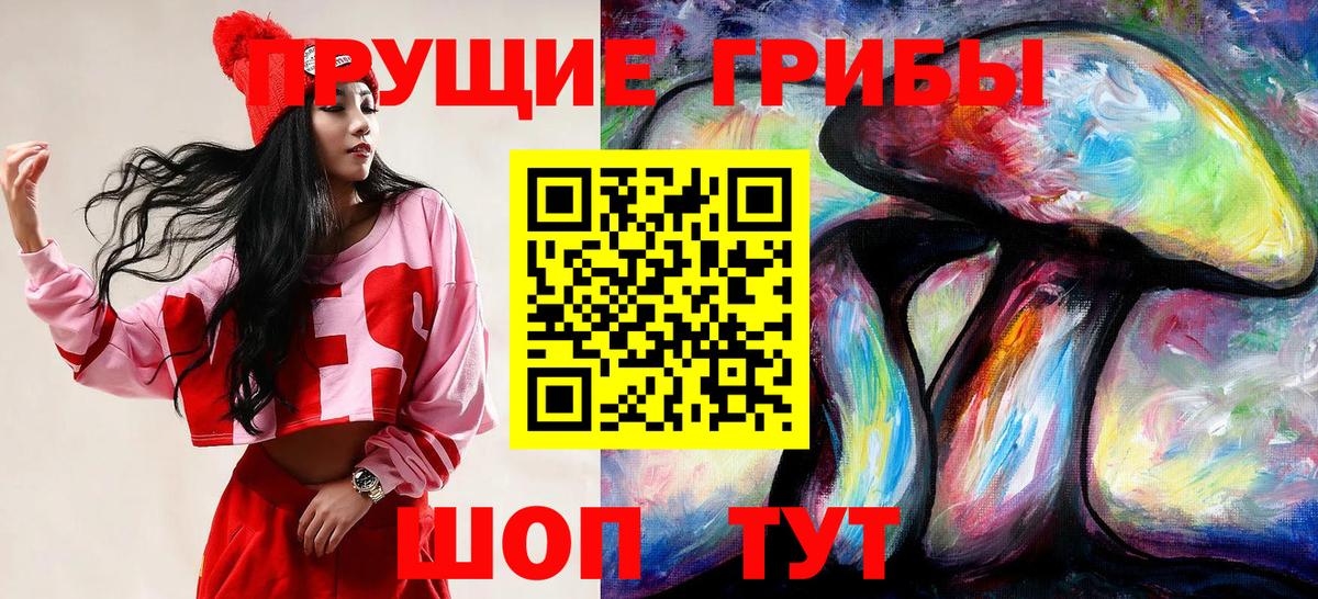 Карталы  Псилоцибиновые грибы прущие грибы  Вход с VPN  Галлюциногенные грибы мицелий 