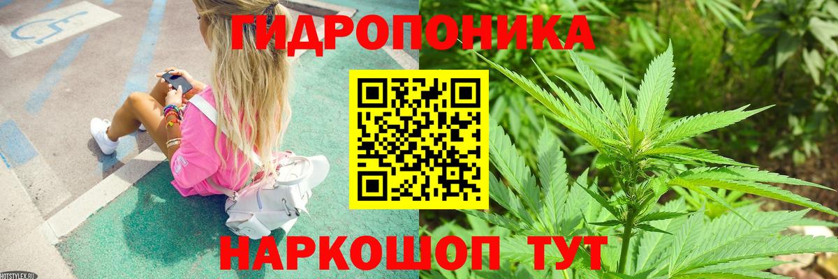 Бошки марихуана марихуана Карталы